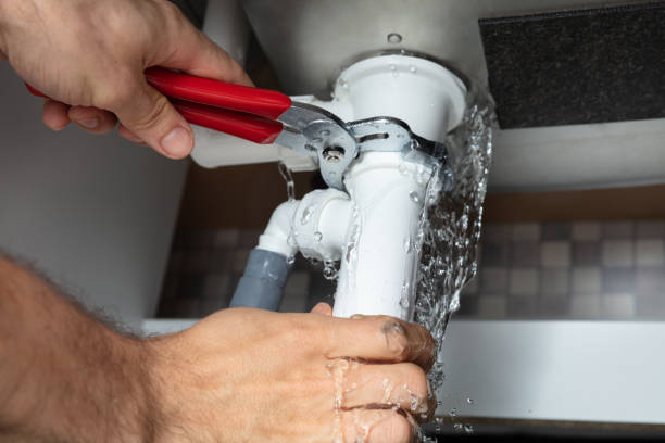 Best Water damage restoration specialists  in Stansberry Lake, WA