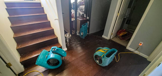 Best 24-hour water damage restoration  in Stansberry Lake, WA