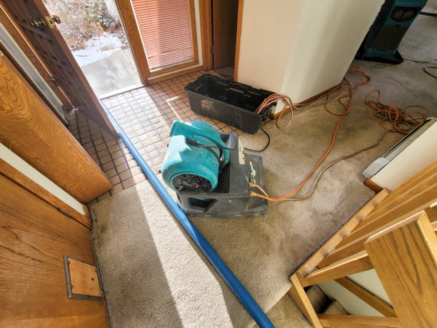 Best Carpet water damage restoration  in Stansberry Lake, WA