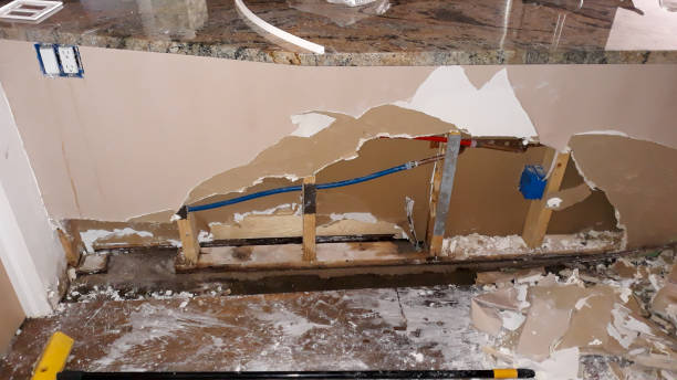 Best Flood damage cleanup  in Stansberry Lake, WA