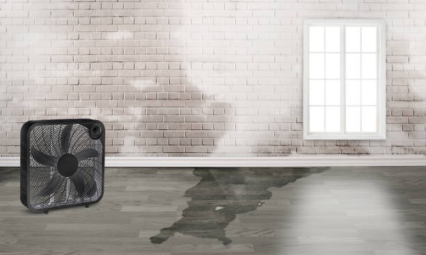  Stansberry Lake, WA Water damage restoration Pros