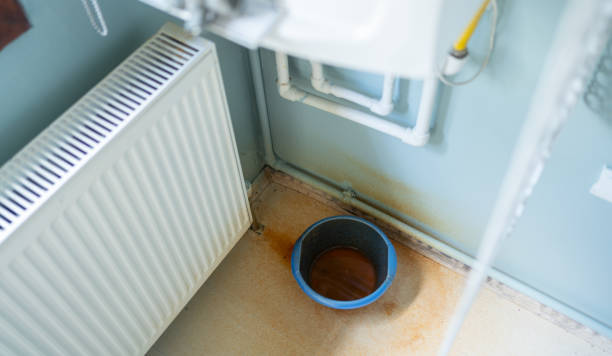 Best Water damage restoration near me  in Stansberry Lake, WA