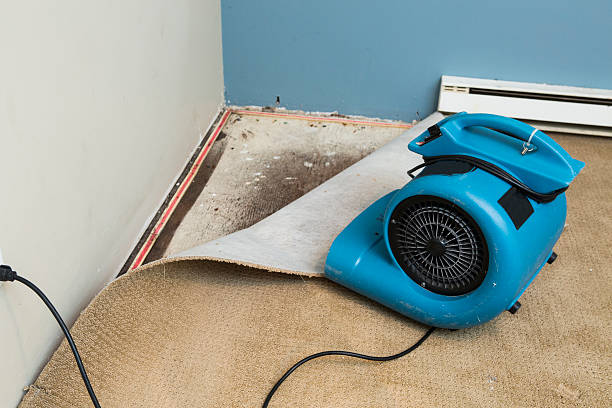 Best Water damage restoration near me  in Stansberry Lake, WA