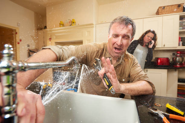 Best Ceiling water damage repair  in Stansberry Lake, WA